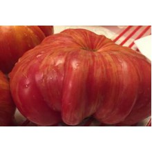 Редкие сорта томатов Литиумный Закат